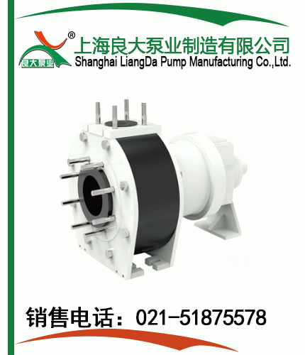 ICS無(wú)泄漏石墨磁力泵